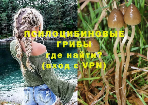 мяу мяу кристалл Ельня