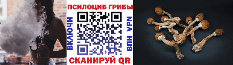 Купить закладки  Липки  Галлюциногенные грибы Psilocybe 